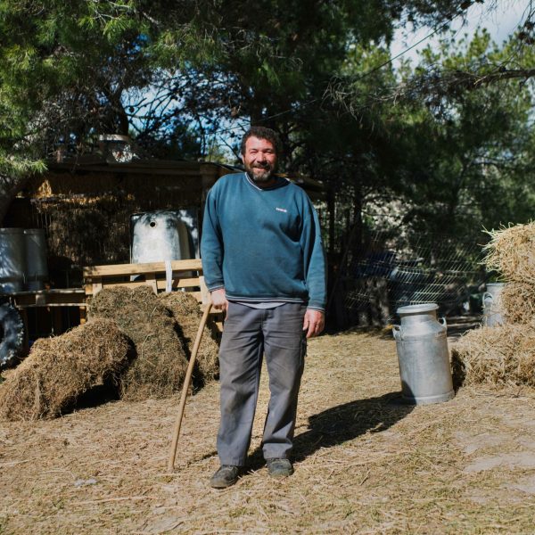 ALI ARTISAN CHEESE EXPERIENCE 1