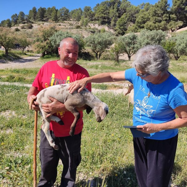 ALI ARTISAN CHEESE EXPERIENCE 4