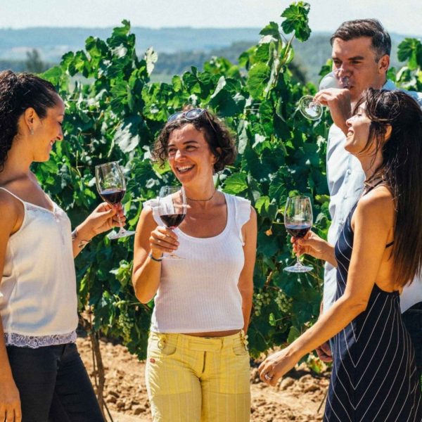 BCN Priorat from-barcelona-wine-cava-tapas-vineyards-4wd-experience-1112461