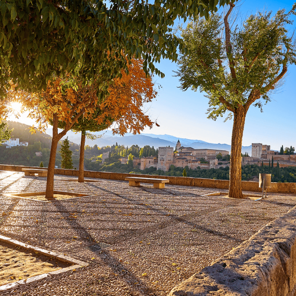 Granada Panoramic Experience(2)