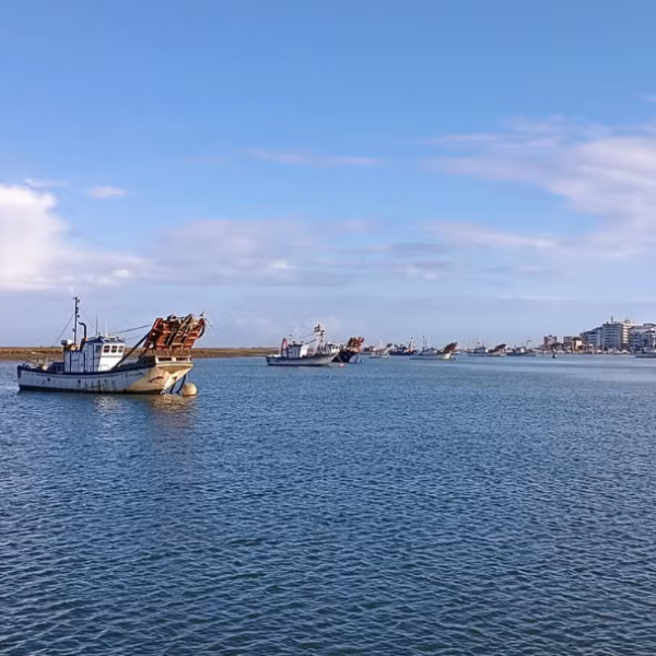 Huelva Seafood Route_(3)