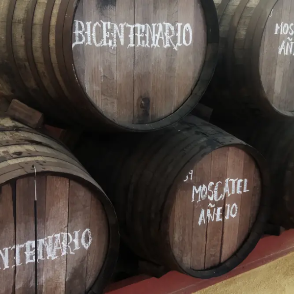 MÁLAGA ORGANIC WINE EXPERIENCE(4)