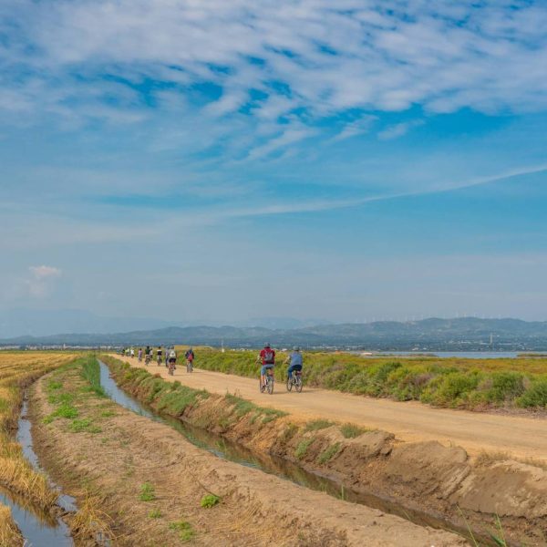 TAR ebro 75781delta-de-lebre-06-rutes-en-bicicleta-ok-online