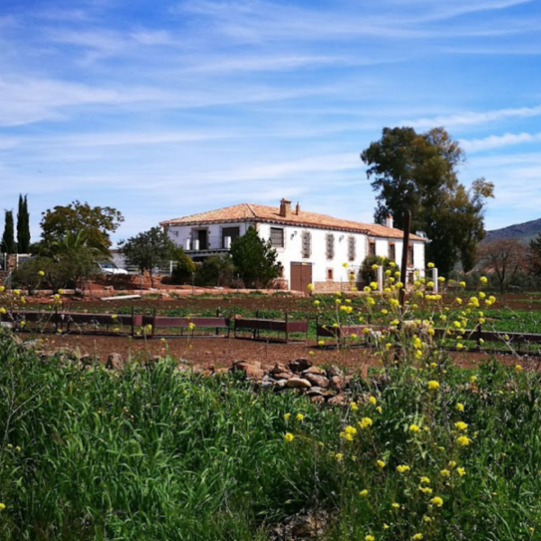 THE CONDADO DISCOVERY ESCAPE(19)