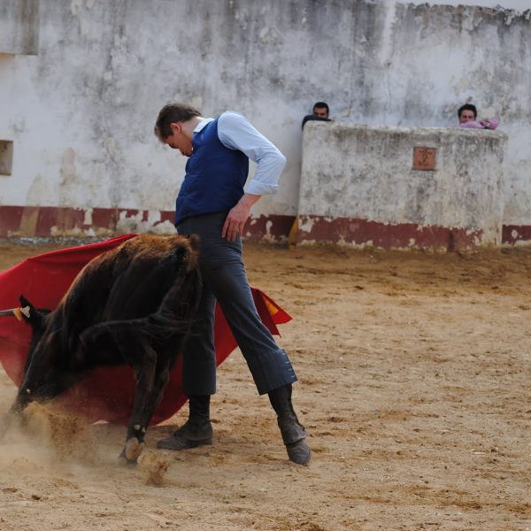 THE CONDADO DISCOVERY ESCAPE(20)