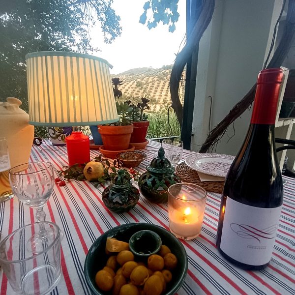 THE CORTIJO EXPERIENCE