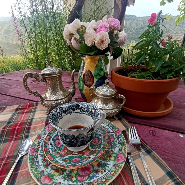 THE CORTIJO EXPERIENCE (5)