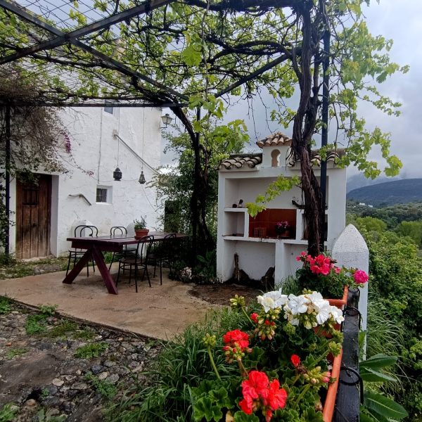 THE CORTIJO EXPERIENCE (6)