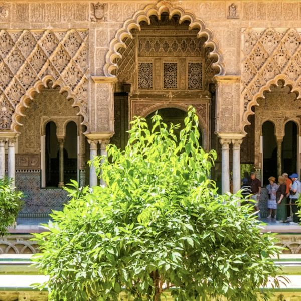 THE ROYAL ALCÁZAR OF SEVILLE(4)